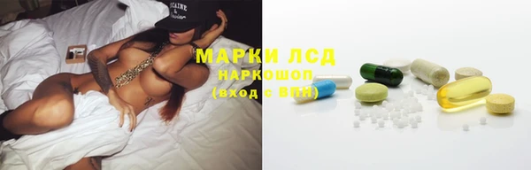 прущие крисы Магадан