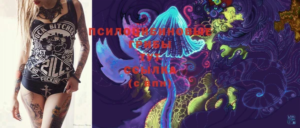 молекула духа Магас