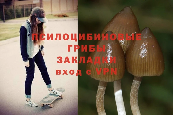 прущие крисы Магадан