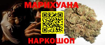 крисы Волгодонск