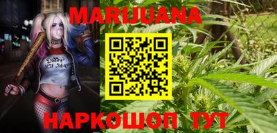 сатива Бийск