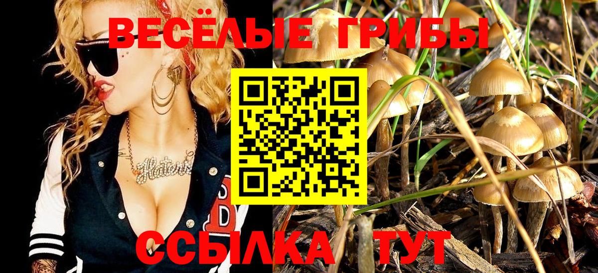 Качканар  Галлюциногенные грибы мухоморы  Вход с VPN 