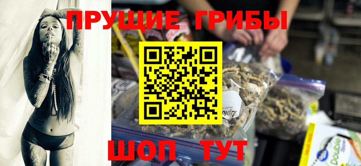 Галлюциногенные грибы Psilocybine cubensis  Качканар 